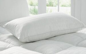 Microfiber Pillows - Terry Tex