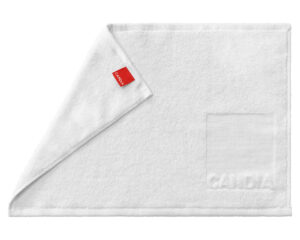 Single-Color Advertising Hand Towel with Jacquard Logo - Terry Tex